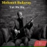 Mehmet Bakıray