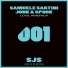 Samuele Sartini, Jonk & Spook