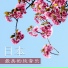 日系纯音乐