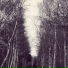 Hakobune