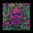 Doom Snake Cult