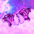 Tigers