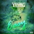 Young Cheddar