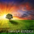 George Robbins