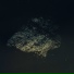 Multicast Dynamics