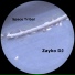 Zayko DJ