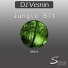 Dj Vesnin