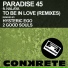 [ paradise 45 feat. nalaya