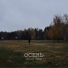 Deside inead