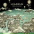 Ligabue