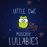 Little Owl