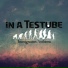 In a Testube