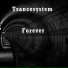 Trancesystem