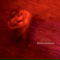Electrocutango