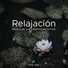 Relaxing Piano Music Consort & Musica Relajante