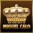 Miguel Calo