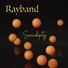 Rayband
