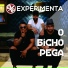 Experimenta