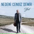 Nedeni Cengiz Demir