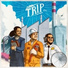 TRIP (Rock)