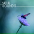 Ocean Sounds