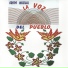 Grupo Musical La Voz Del Pueblo