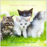 Relaxing Music for Cats