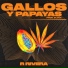 R Rivera