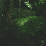 Spiritual Fitness Music, Spa & Spa, Sleepy Times