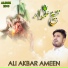 Ali Akbar Ameen