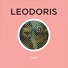 Leodoris