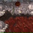 A Thousand Birds