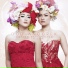 Duo Anggrek