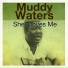 Muddy Waters