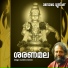 Pranavam Sankarannamboothiri