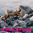 Brilliant Harmony