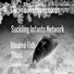 Suckling Infants Network