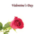 Valentine's Day Violin