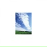 Mindfulness Healing BGM Project