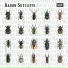 Aaron Sutcliffe