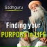 Sadhguru, Sync Mind