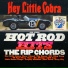 The Rip Chords