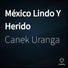 Canek Uranga