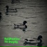 AntiBambus