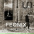 Feonix