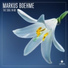 Markus Boehme