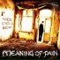 Meaning Of Pain
