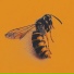 skiba