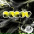 Greg Reve (T.O.B.)