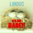 Lindus